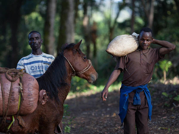 Ethiopia - Suke Shakisso
