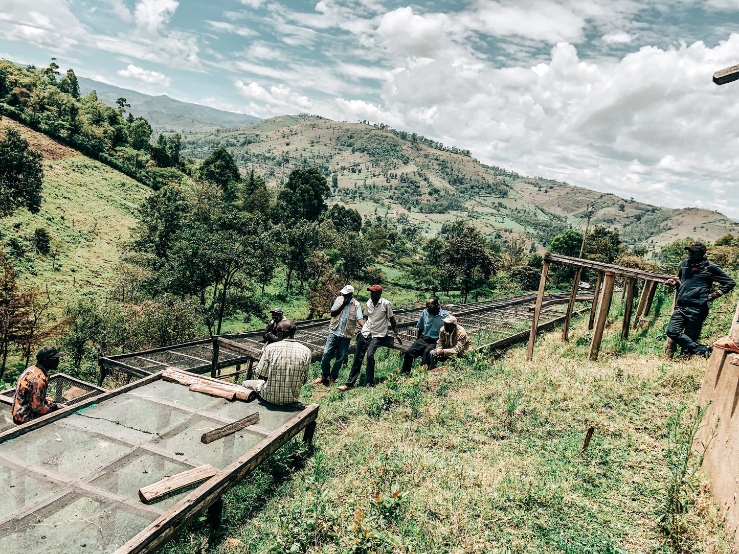 Kenya - Rongo AB