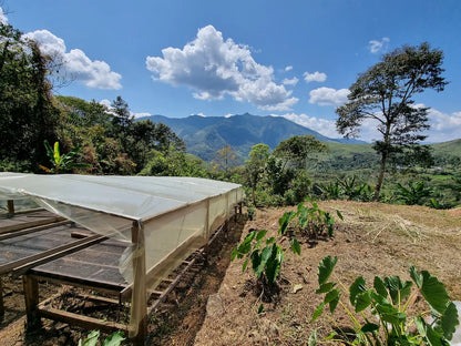 Peru - Pedro Garcia